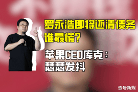 柳林柳林的要账公司在催收过程中的策略和技巧有哪些？